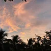 duy494979