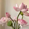 taphoanhoxinhxinh4
