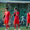 pes28hb