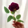 reem..n86