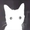 dygcs1wodcpd