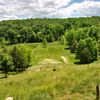 greenskyfarm