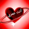 adamhalim260