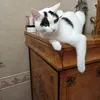 marghe.apru