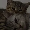 mo7anken