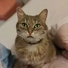 lucile.tiktok.com