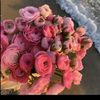 user9369810294305