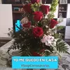 rociosantosperalv