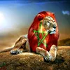 aliabomahdi