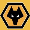tps.wolves...e