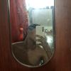 davidxz236