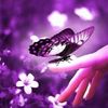 habiba.mohammed3926