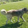 kassy.2806