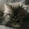 nl0v3rk_02