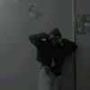 shimaa_kalefa