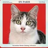 sn_paris777