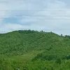 dyffpg6bjbfh