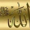 abuushafimwakipes