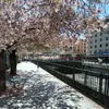 doris_2892788