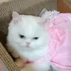 gabby_lee44