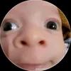 laviai06