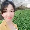 vuongquyen1991