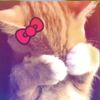 celinee_cantip11