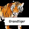 grand..tiger