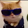 dyctvdcyxzui