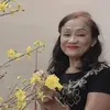 phukieu53
