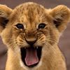 maman_love45