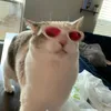 n00talicious