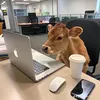 plus8386.com