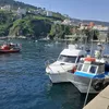 flordehara