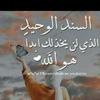 mohamedgad6496