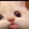 dyszf5cpldxe