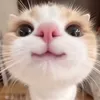 qwfty.16