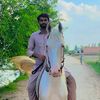 abbasharal56