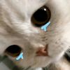 user0000007982