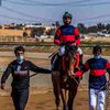 mohamed123505