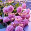 wilmari608