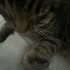 mariee_luvsu