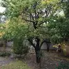 abu_abdualaziz24