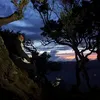 dwie_185