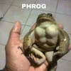 lidia.phrogphrog
