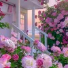 user8107108147161