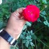 onlyhasib0