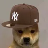 el_randomxd_2144