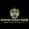 Elkins Bully Farm NPR