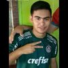 pedropalneiras